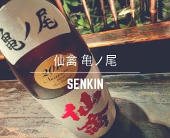 Blog_SenkinKamenoo00
